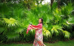 黄色软件下载3.0.3每天三次华为版破解游戏